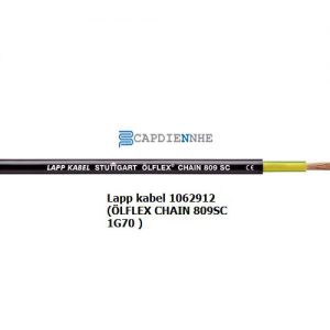 Cáp Tín Hiệu Lapp kabel 1062912 (ÖLFLEX CHAIN 809SC 1G70 )