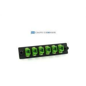 Cáp Quang Alantek Adaptor Plate SM 6 Port Loaded SC 306-8S0206-SM00